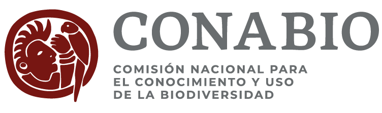 Logotipo del Partner